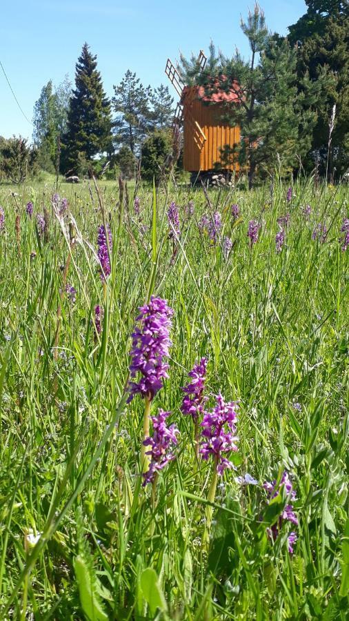 Sihi Country House Hiievalja Kültér fotó